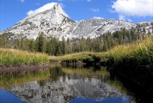 Yosemite National Park